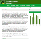 Tablet Screenshot of cucumber.genomics.org.cn