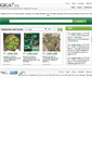 Mobile Screenshot of genome-mirror.genomics.org.cn